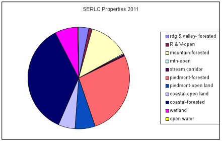 pie chart for 2011
